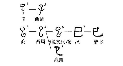 己蛇|巳（汉字）